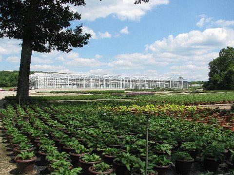 Greenhouses
