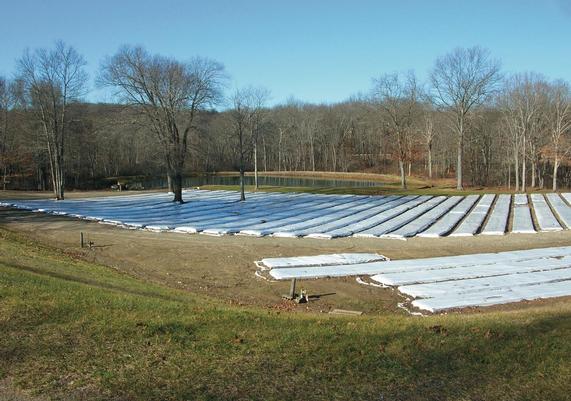 Covered Beds