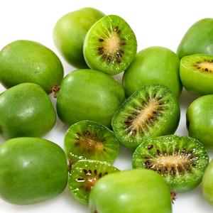 Actinidia arguta Issai